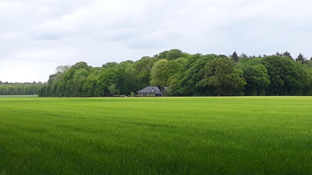 Heuerhaus Gut Einhaus Villa Werlte Dış mekan fotoğraf